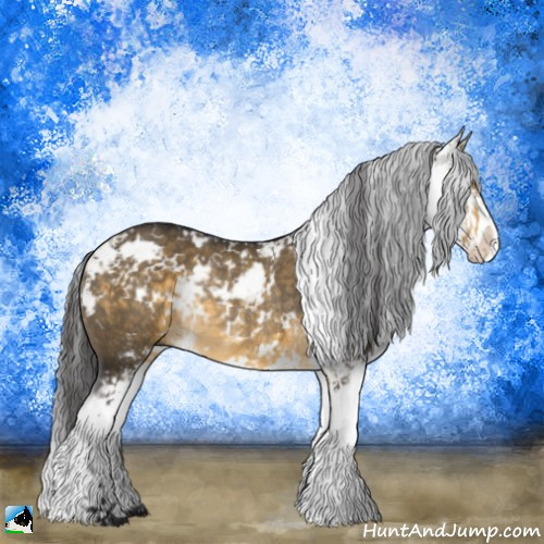 Horse Color:Buckskin Dun Mushroom Sabino Rabicano 
