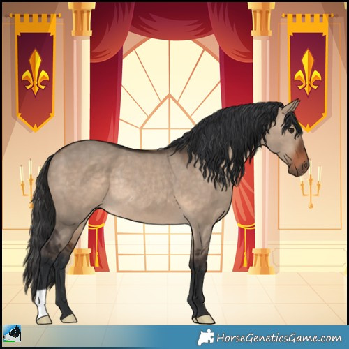 Horse Color:Brown Dun Rabicano 