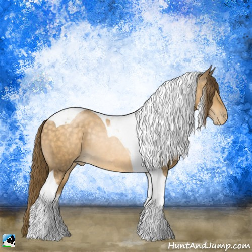 Horse Color:Buckskin Pearl Tobiano Rabicano 