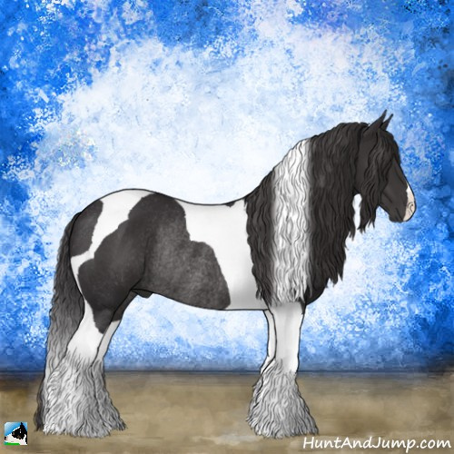 Horse Color:Smoky Black Tobiano Rabicano 