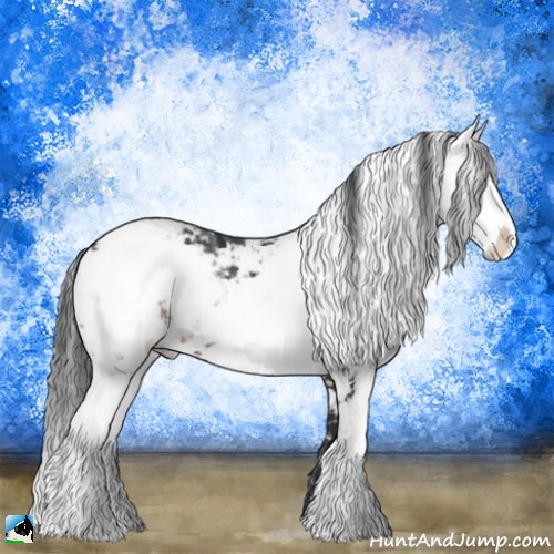 Horse Color:Brown Ice Sabino Rabicano 