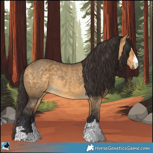 Horse Color:Buckskin Dun Rabicano 