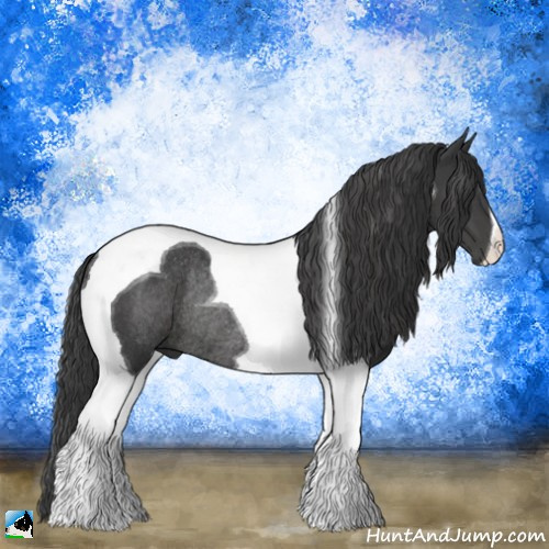 Horse Color:Black Tobiano Rabicano 