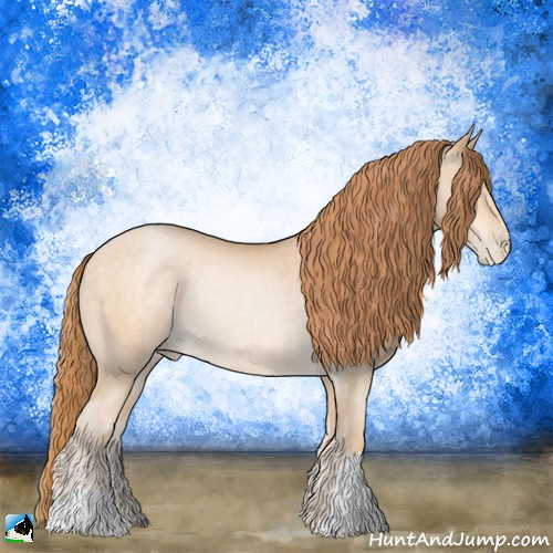 Horse Color:Buckskin Pearl Rabicano 