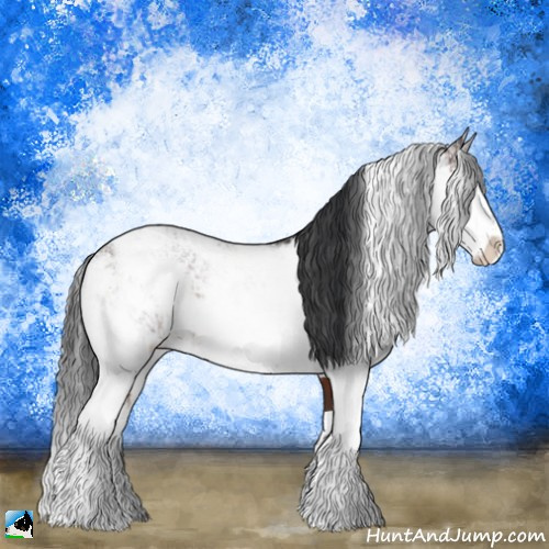 Horse Color:Brown Sabino Rabicano 