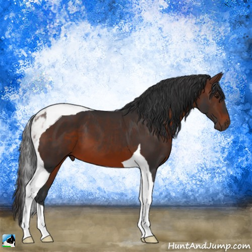 Horse Color:Brown Tobiano 