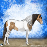 Horse Color:Buckskin Ice Tobiano Rabicano 