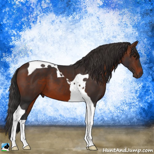 Horse Color:Brown Tobiano 