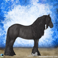 Horse Color:Smoky Black Mushroom Rabicano
