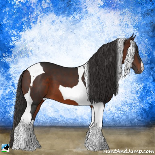 Horse Color:Brown Tobiano 
