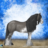 Horse Color:Grullo Mushroom Sabino Rabicano