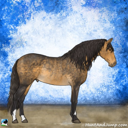 Horse Color:Buckskin Mushroom Rabicano 