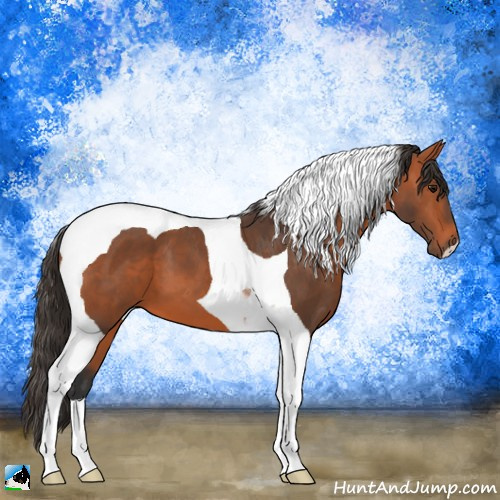 Horse Color:Bay Tobiano 