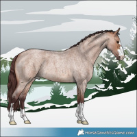 Horse Color:Chocolate Brown Roan Dun 