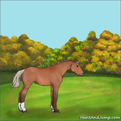 Horse Color:Silver Bay Tobiano 