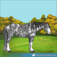 Horse Color:White Spotted Black Ice Sabino Splash 