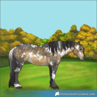 Horse Color:White Spotted Buckskin Ice Rabicano 