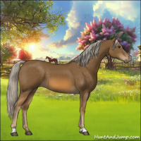 Horse Color:Chocolate Palomino