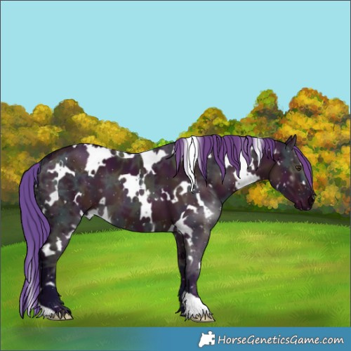 Horse Color:Watercolor White Spotted Midnight Liver Red Dun Ice 