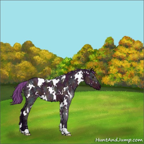 Horse Color:Watercolor White Spotted Midnight Liver Red Dun Ice 