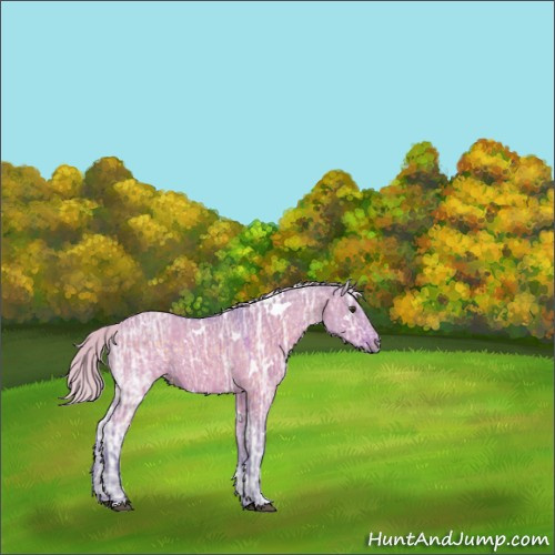 Horse Color:Watercolor White Spotted Silver Brown Ice Dun 