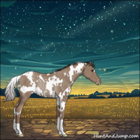 Horse Color:White Spotted Classic Champagne Appaloosa Rabicano