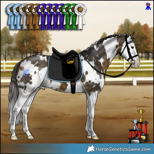 Horse Color:White Spotted Buckskin Splash 