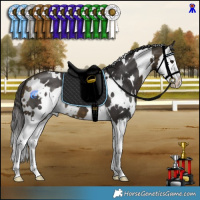 Horse Color:White Spotted Buckskin Splash 