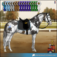 Horse Color:White Spotted Buckskin Splash 