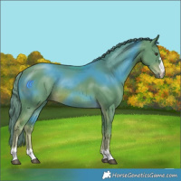 Horse Color:Watercolor Chestnut Rabicano 