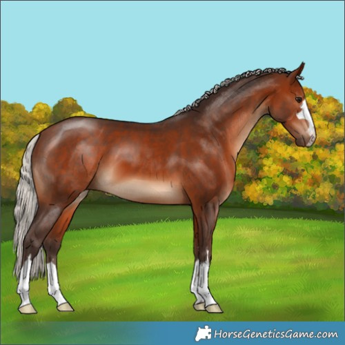 Horse Color:Silver Brown 