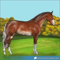 Horse Color:Silver Brown 