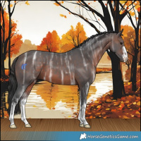 Horse Color:White Spotted Brown Ice