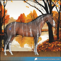 Horse Color:White Spotted Brown Ice 