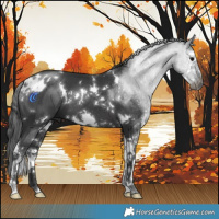 Horse Color:White Spotted Black Splash