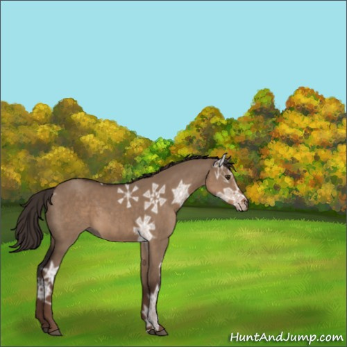 Horse Color:Liver Red Dun Ice 