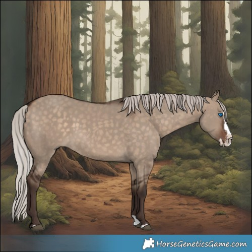Horse Color:Silver Brown Dun Sabino Splash Rabicano 