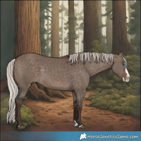 Horse Color:Silver Brown Dun Sabino Splash Rabicano