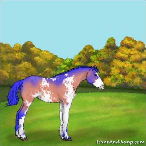 Horse Color:Watercolor Brown Sabino 