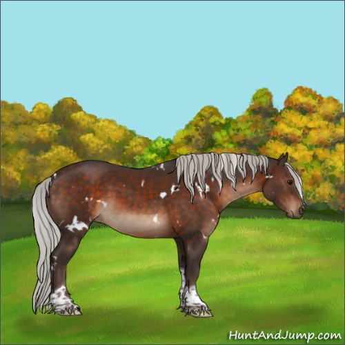 Horse Color:White Spotted Silver Brown Tobiano 