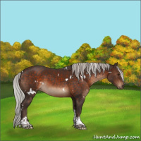 Horse Color:White Spotted Silver Brown Tobiano 