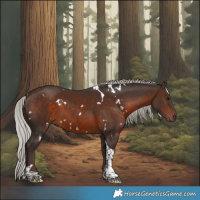 Horse Color:White Spotted Silver Brown Tobiano 