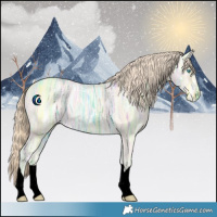 Horse Color:Void Perlino Ice 