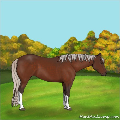 Horse Color:Silver Brown 