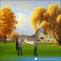 Horse Color:Gray Void White Spotted Brown Dun Sabino Splash Snowflake VarnishRabicano 