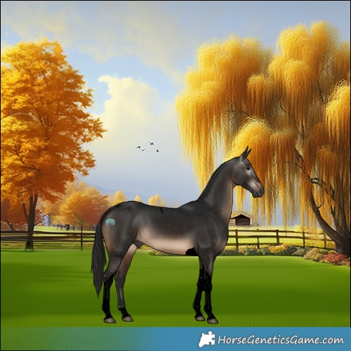 Horse Color:Gray Void Brown Tobiano 