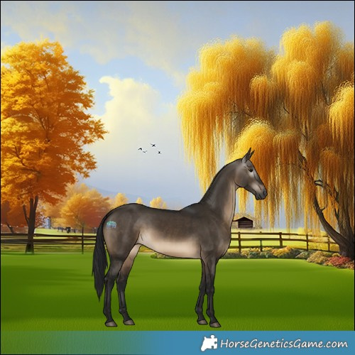 Horse Color:Gray Void Brown Dun Sabino Rabicano 