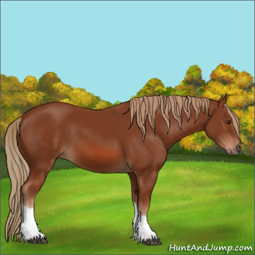 Horse Color:Chestnut Tobiano 