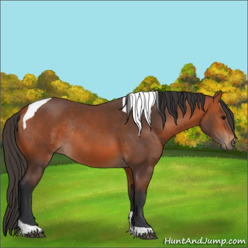 Horse Color:Bay Tobiano Rabicano 