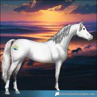 Horse Color:Gray Silver Brown 